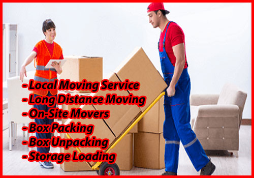 Packers And Movers Noida Sector 103